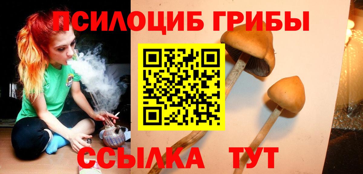 Псилоцибиновые грибы ЛСД  Вход с VPN  Грозный 