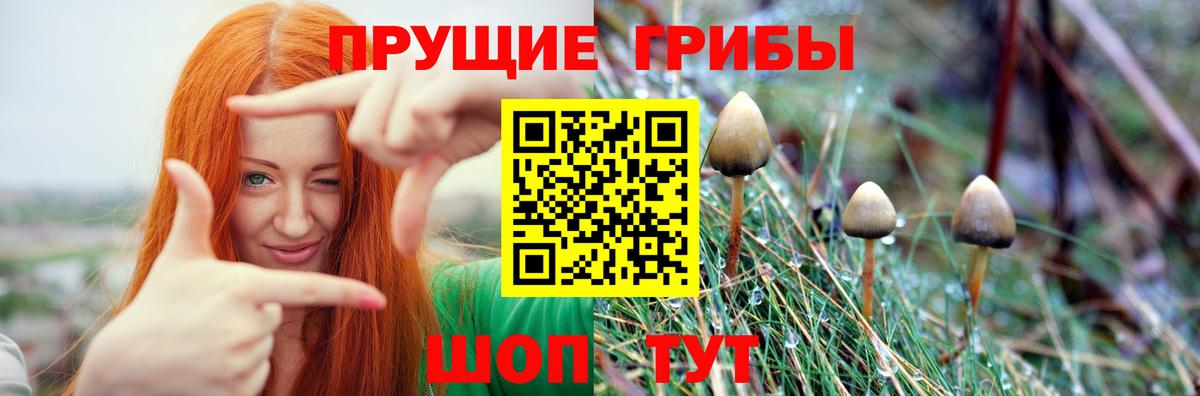 Галлюциногенные грибы мухоморы Грозный